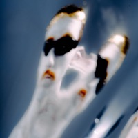 Odi Et Amo - Single - GianlucaLRP & Munch