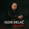 Igor Delač - Bez Tebe Grafik