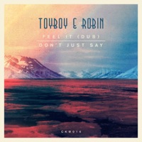 Feel It (Dub) / Don't Just Say - Single - Toyboy & Robin