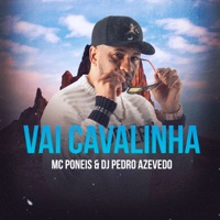 Vai Cavalinha - Single - Dj Pedro Azevedo & MC Poneis
