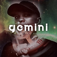 GEMINI - Rodney SA