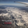 Requiem For a Flight - Single