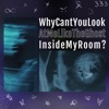 WhyCantYouLookAtMeLikeTheGhostInsideMyRoom? - Single