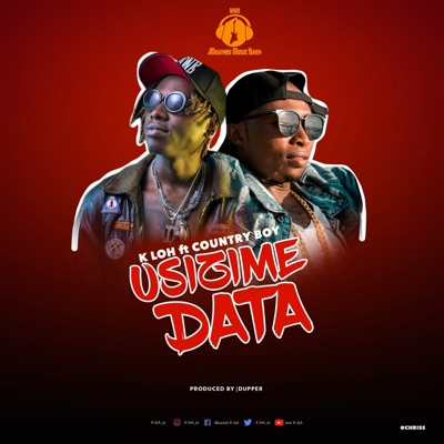 usizime data (feat. Country Wizzy) - Single