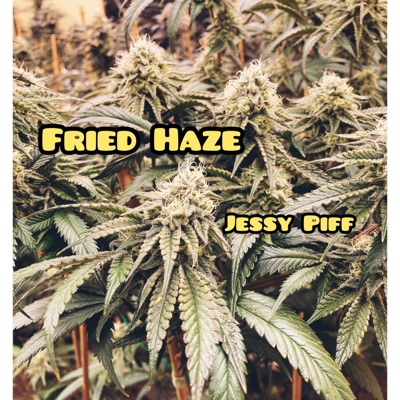 Fried Haze - Single