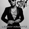 Lenny Kravitz - The Chamber kunstwerk