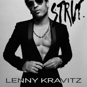 The Chamber - Lenny Kravitz Cover Art