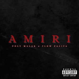 Amiri (feat. Flow Califa) - Single
