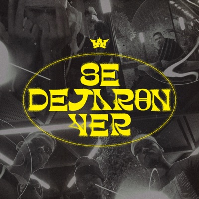 Se Dejaron Ver - Single