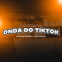 Embrazando Na Onda do Tiktok - Single - MC W1, MC Pipokinha & DJ CAMPASSI