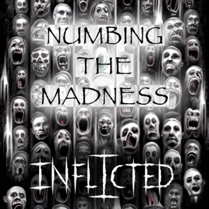 Numbing the Madness (feat. Steve Gray) - Single