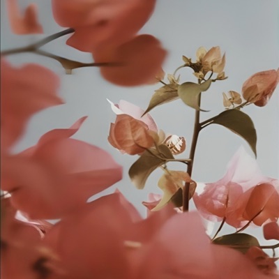 Kho Gaya (feat. Tazer Music) - Single