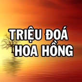 Triệu Đóa Hoa Hồng (Pop Hòa Tấu) artwork