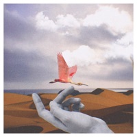 Sea You Soon - Single - Maria Whoat