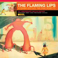 I'm a Fly in a Sunbeam (Following the Funeral Procession of a Stranger) — The Flaming Lips