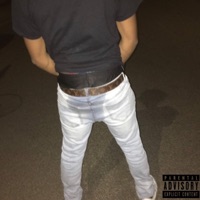 Ain Sh!T - Single - $hozilla