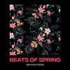 Beats of Spring - Single