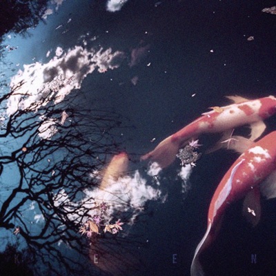 CATFISH (feat. Swish Beatz) - Single