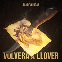 VOLVERÁ A LLOVER - Single - Pandy & Edgar