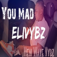 You Mad - Single - EliVybz
