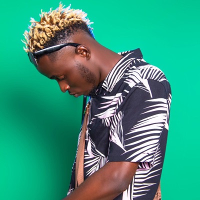 Himalayas (feat. Eskydo) - Single