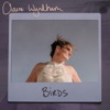 Birds - Single