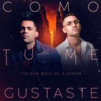 Como Tú Me Gustaste (feat. Lenier) - Single - The Bad Boys MC
