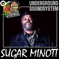 Vanity (Dubplate) (feat. Sugar Minott) - Single - Undergroundsoundsystem