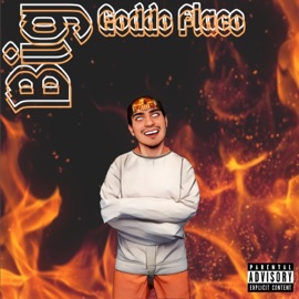 Zooted (feat. Yung Bee) Big Goddo Flaco