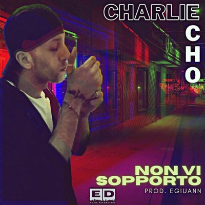 Non Vi Sopporto - Single