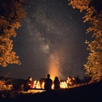 Fireplace - Single