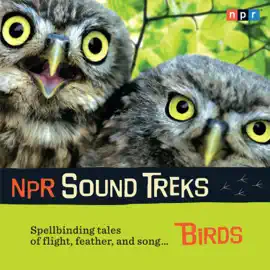 NPR Sound Treks: Birds : Spellbinding Tales of Flight, Feather, and Song