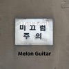 Melon Guitar