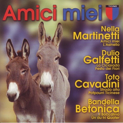 Amici miei