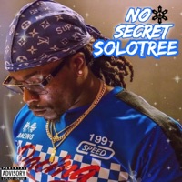 No Secret - Single - SoloTree