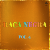Raça Negra, Vol. 4