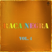 Raça Negra, Vol. 4 - Raça Negra