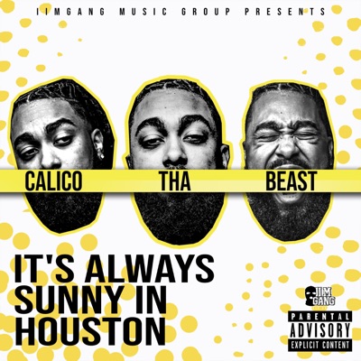 It's Always Sunny in Houston