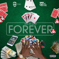 Forever - Single - Stig da Artist