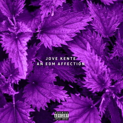 An Edm Affection - Single