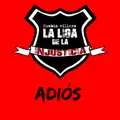 Adiós