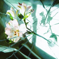 Lirium (By the Fire) - Single - Max Diaz