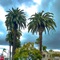 SoCal - HiVibes lyrics