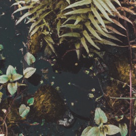 Passage GXNXSIS, Oatmello & allunare.