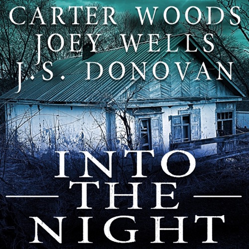 Into the Night: An EMP Thriller Boxset (Unabridged) cover