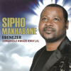 Sipho Makhabane - Ebenezer artwork