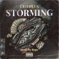 Storming - Single - CEO Plus