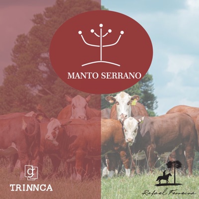 Manto Serrano - Single