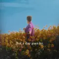 Not A Day Goes By