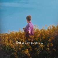 Not A Day Goes By - Single - Daniel Blume
